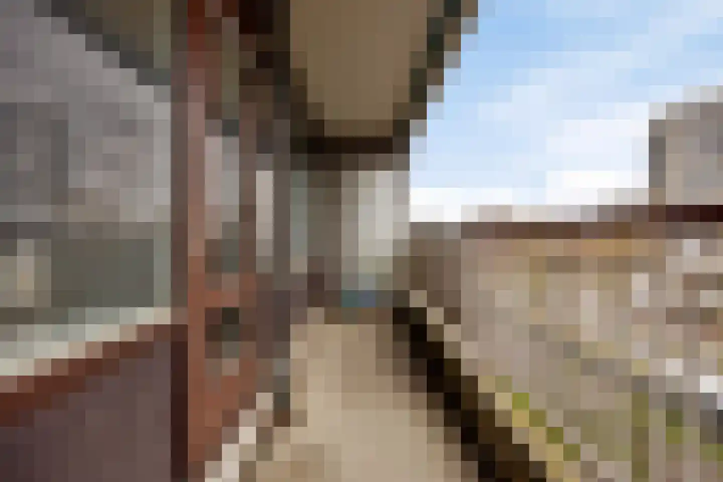 Bomanshof 43 Eindhoven thumbnail 21