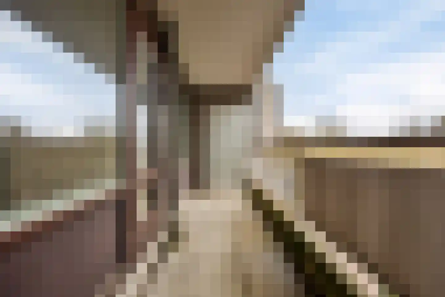 Bomanshof 43 Eindhoven thumbnail 24