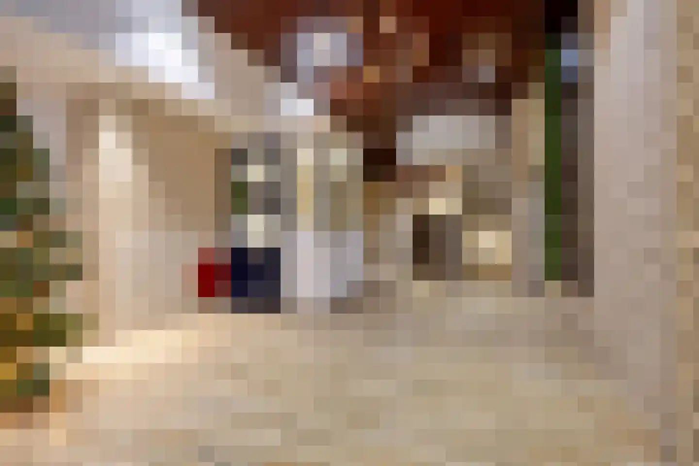 Bomanshof 43 Eindhoven thumbnail 6