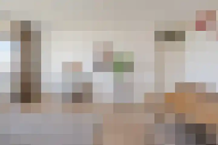 Bomanshof 93 Eindhoven thumbnail 15
