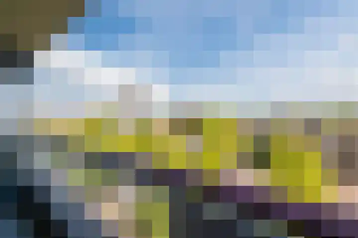 Bomanshof 93 Eindhoven thumbnail 31