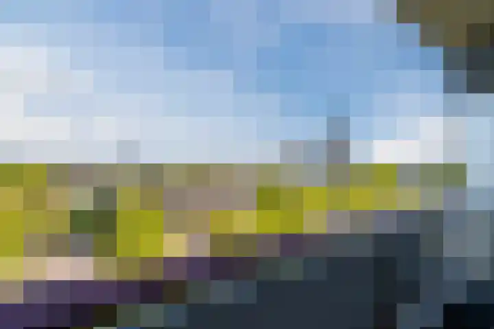 Bomanshof 93 Eindhoven thumbnail 32