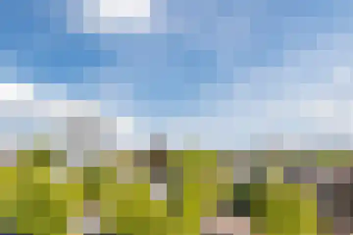 Bomanshof 93 Eindhoven thumbnail 34