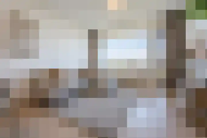 Bomanshof 93 Eindhoven thumbnail 8