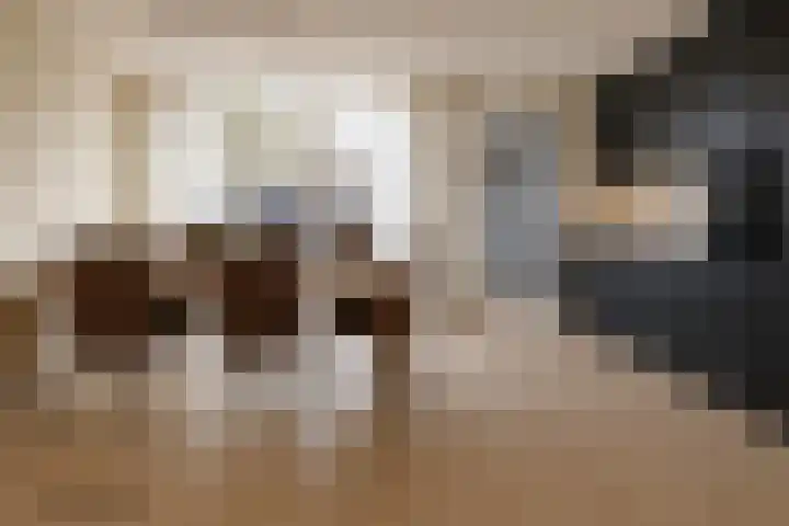 Bomas 12 Veenendaal thumbnail 11