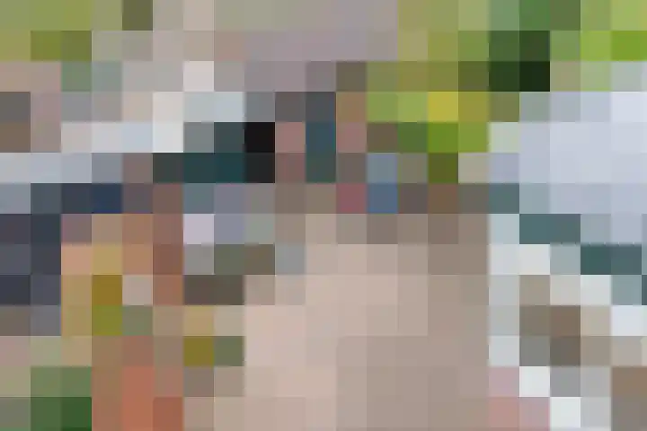 Bomas 12 Veenendaal thumbnail 37