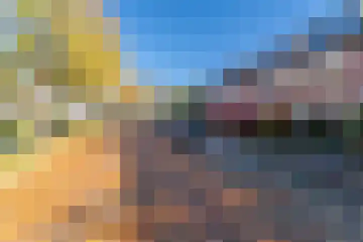 Bomas 12 Veenendaal thumbnail 4