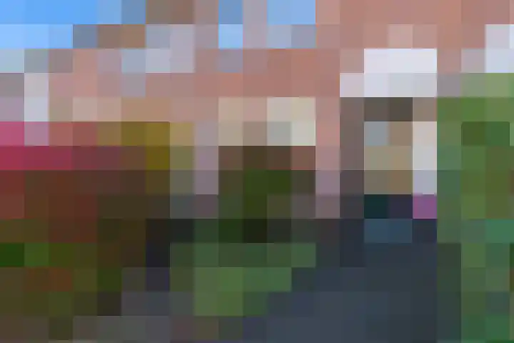Bomas 12 Veenendaal thumbnail 5