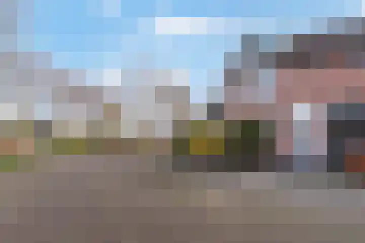 Bomas 20 Veenendaal thumbnail 4