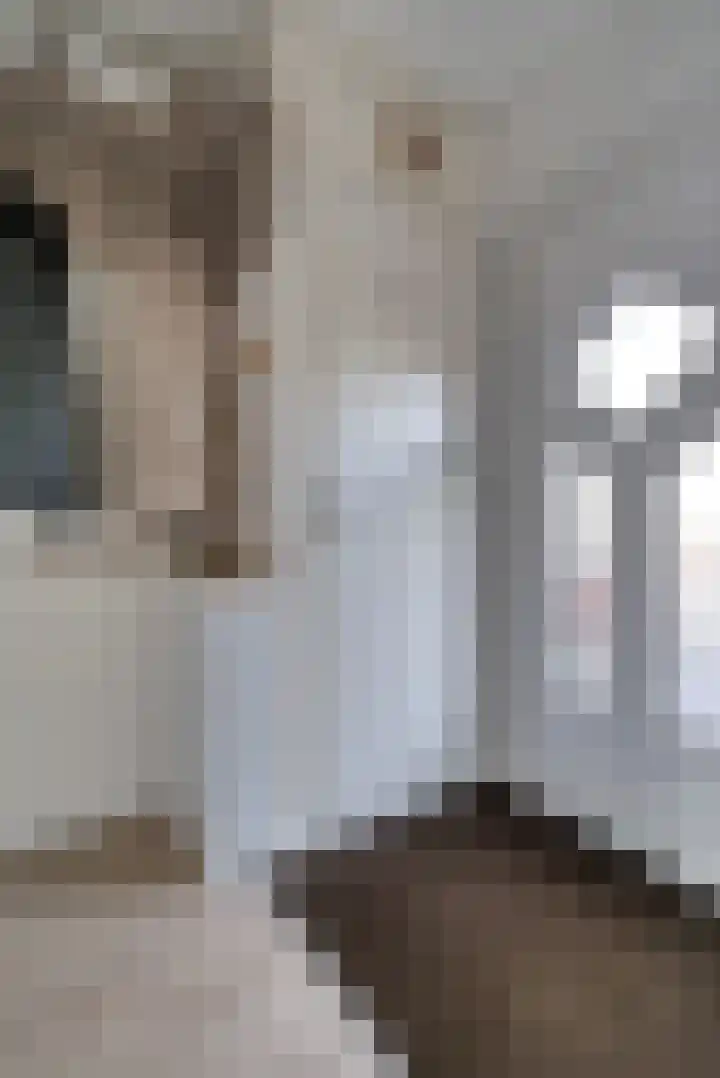 Bomas 20 Veenendaal thumbnail 6