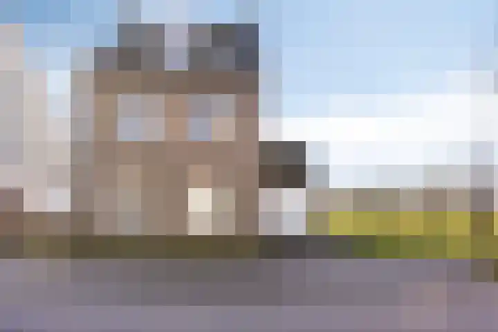 Bomenbeemd 57 in Best
