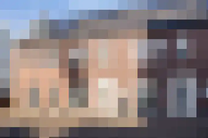 Bomenbeemd 6 Best