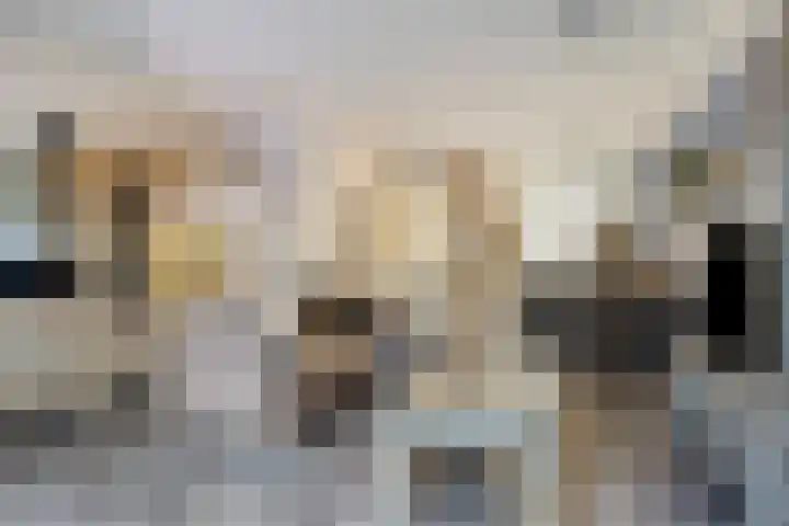 Bomenbeemd 6 Best thumbnail 13
