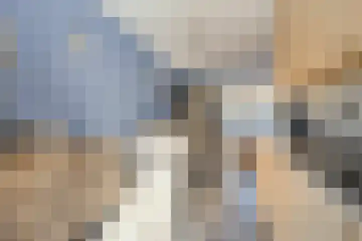 Bomenbeemd 6 Best thumbnail 16