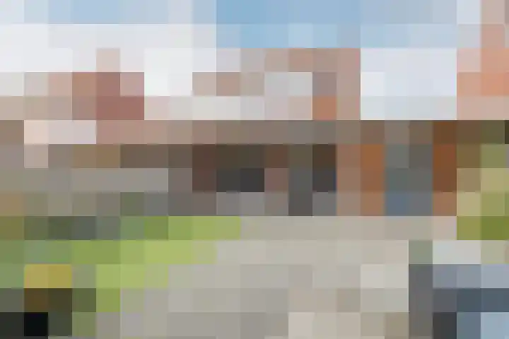 Bomenbeemd 6 Best thumbnail 17
