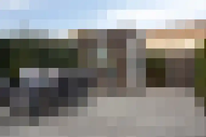 Bomenbeemd 6 Best thumbnail 28