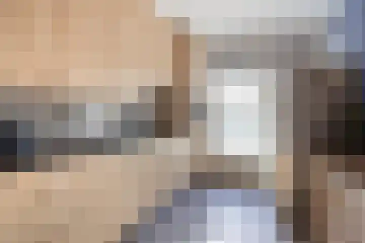 Bomenbeemd 6 Best foto 3