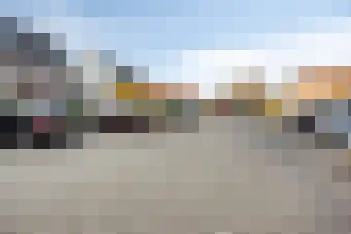 Bomenbeemd 6 Best thumbnail 31