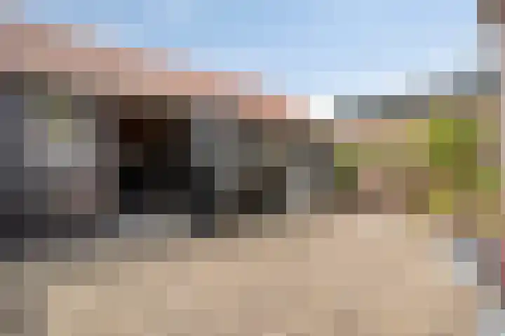 Bomenbeemd 6 Best thumbnail 35