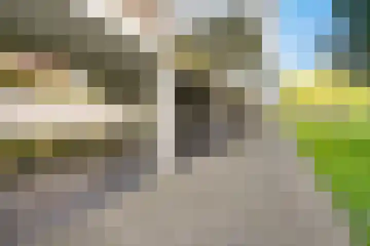 Bomenbeemd 6 Best thumbnail 36