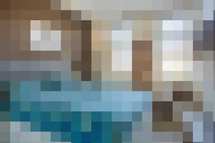 Bomenbeemd 6 Best thumbnail 4
