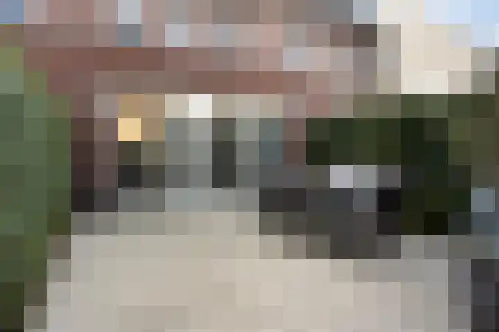 Bomenbeemd 6 Best thumbnail 5