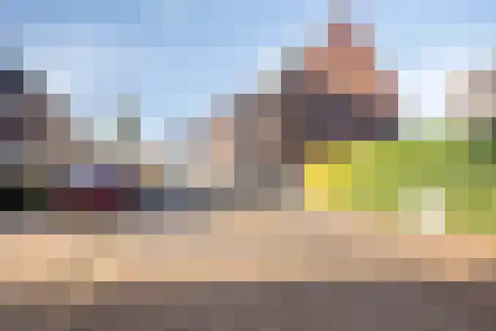 Bomenbeemd 6 Best thumbnail 6