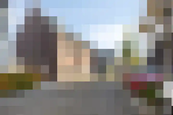 Bomenbeemd 6 Best thumbnail 7