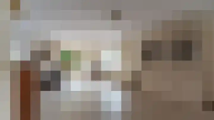 Bomenland 13 Venhuizen thumbnail 13