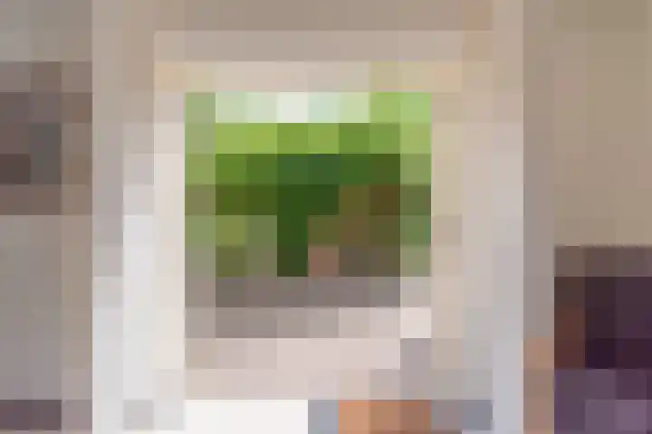 Bomenland 13 Venhuizen thumbnail 21