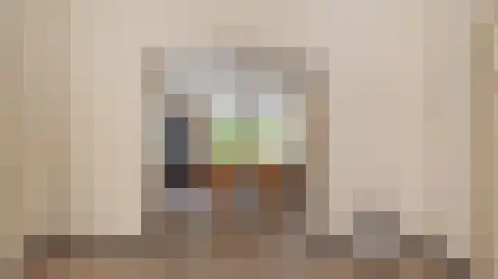 Bomenland 13 Venhuizen thumbnail 23