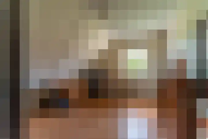 Bomenland 13 Venhuizen thumbnail 34