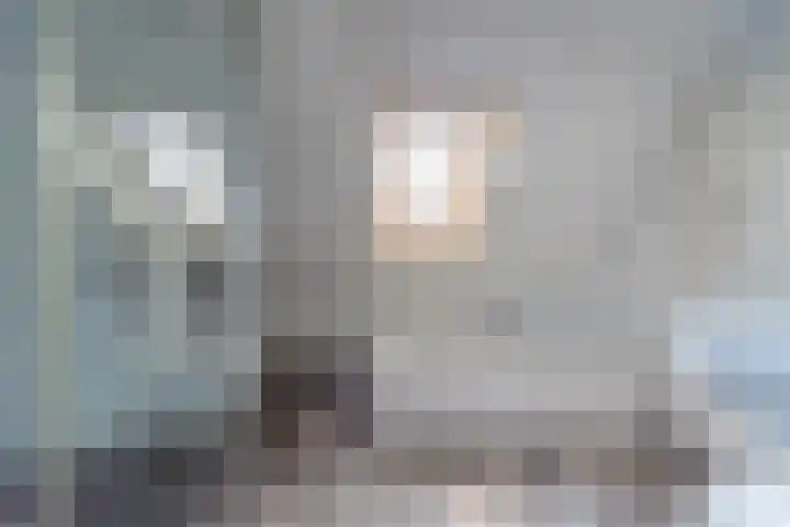 Bomenland 13 Venhuizen thumbnail 36