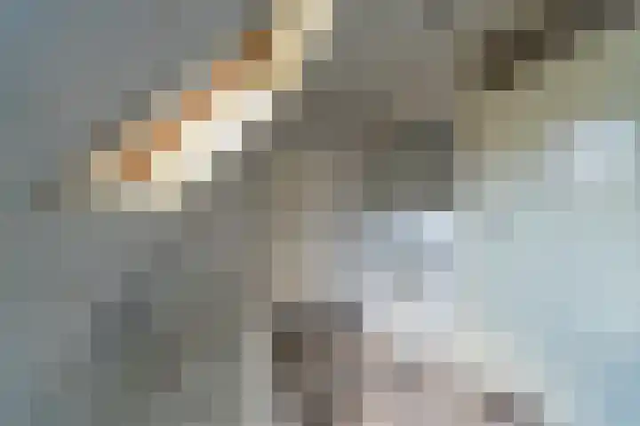 Bomenland 13 Venhuizen thumbnail 37