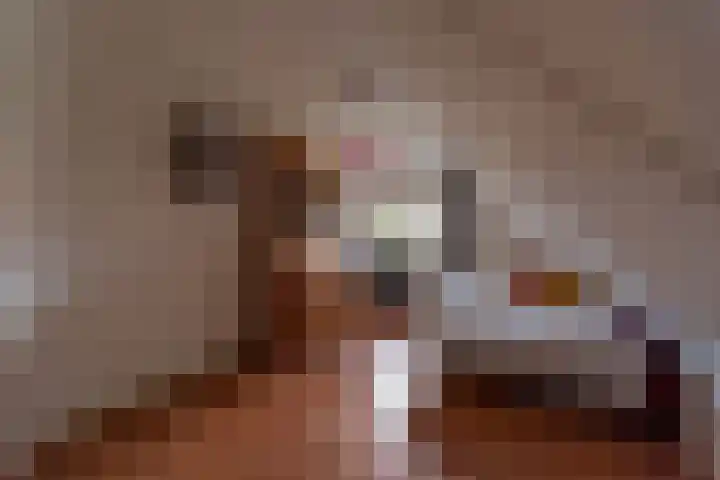 Bomenland 13 Venhuizen thumbnail 39