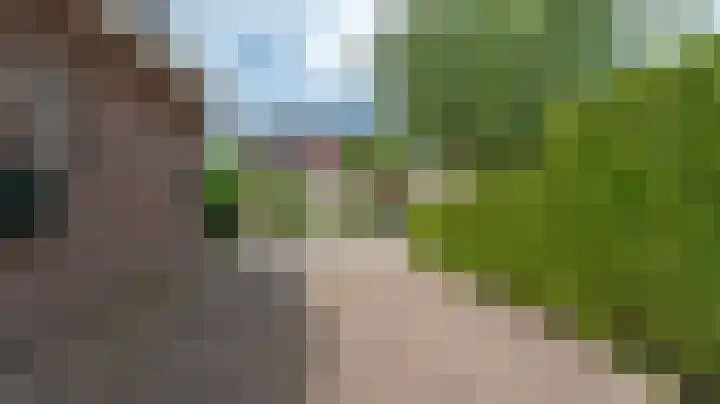 Bomenland 13 Venhuizen thumbnail 5