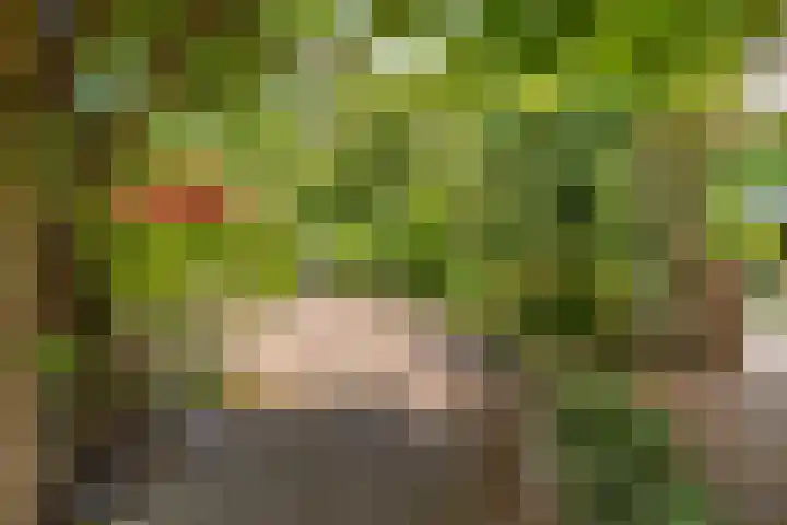 Bomenland 13 Venhuizen thumbnail 50