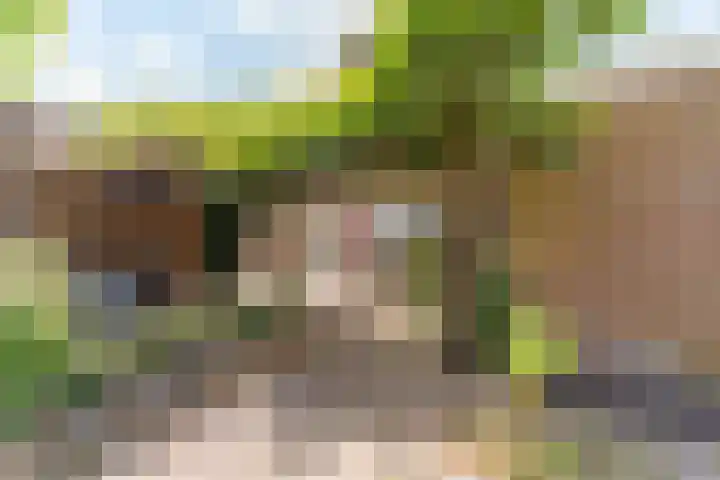 Bomenland 13 Venhuizen thumbnail 54