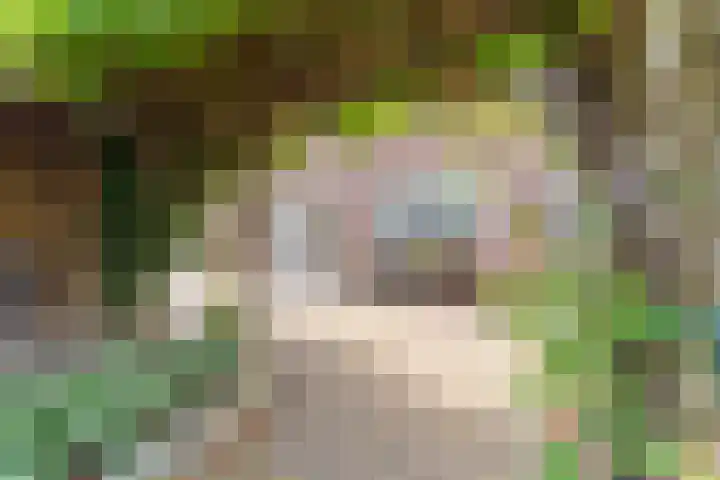 Bomenland 13 Venhuizen thumbnail 55
