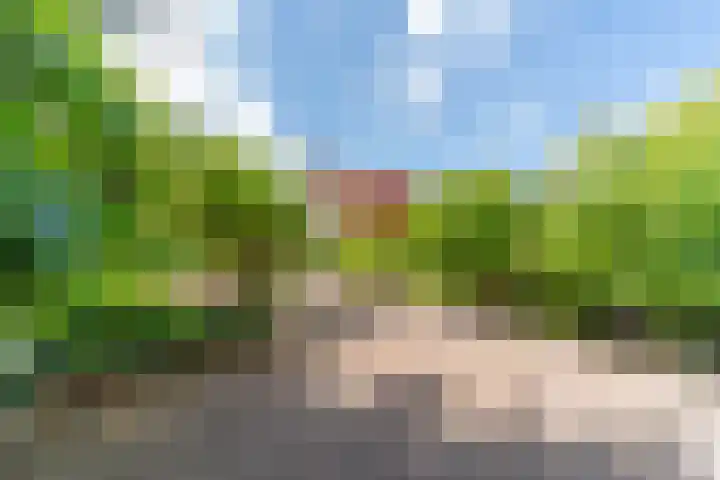 Bomenland 13 Venhuizen thumbnail 56