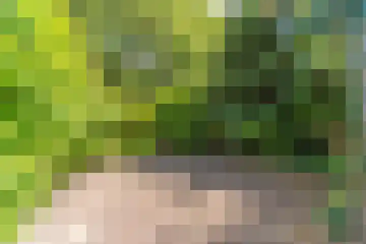 Bomenland 13 Venhuizen thumbnail 57