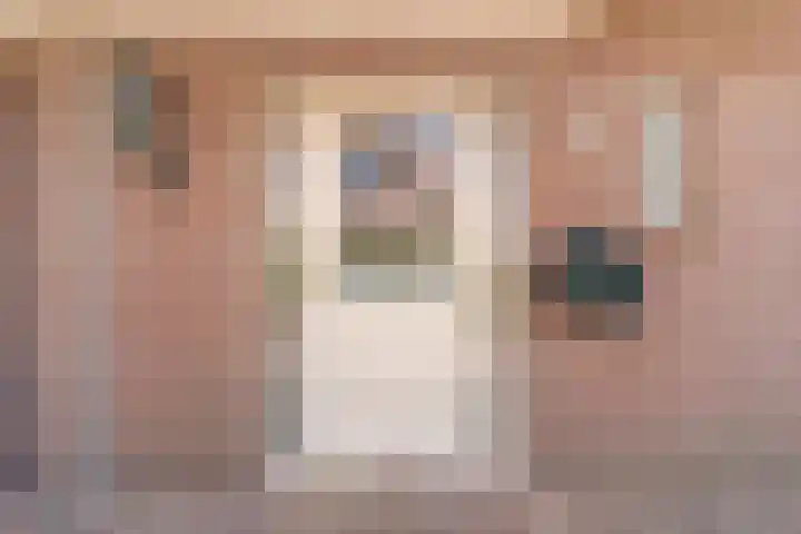 Bomenland 13 Venhuizen thumbnail 6