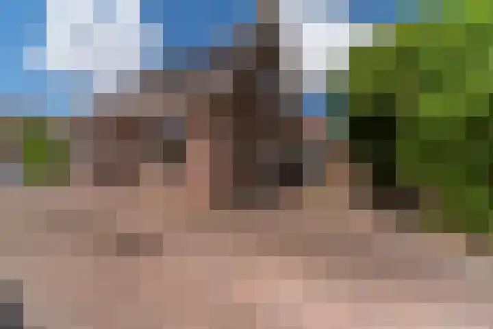 Bomenland 13 Venhuizen thumbnail 61