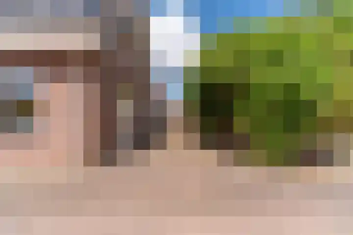 Bomenland 13 Venhuizen thumbnail 62