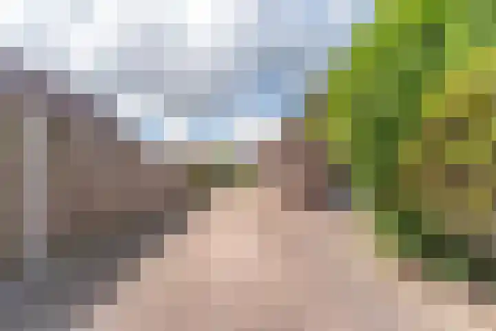 Bomenland 13 Venhuizen thumbnail 66