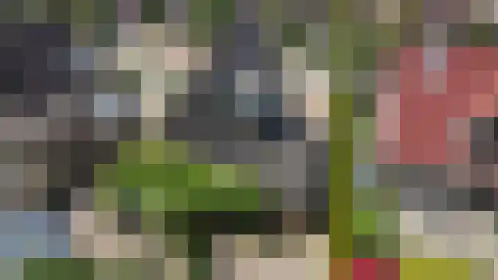 Bomenland 13 Venhuizen thumbnail 70