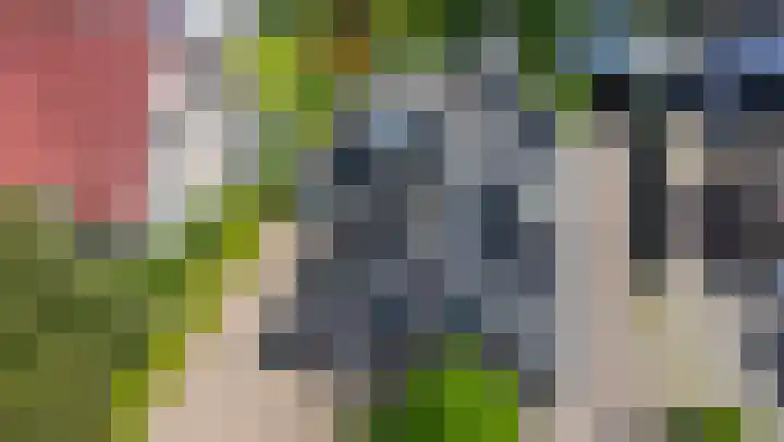 Bomenland 13 Venhuizen thumbnail 73