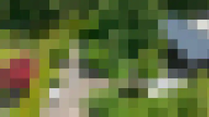 Bomenland 13 Venhuizen thumbnail 74