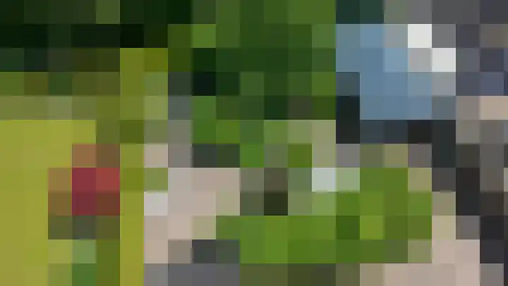 Bomenland 13 Venhuizen thumbnail 75