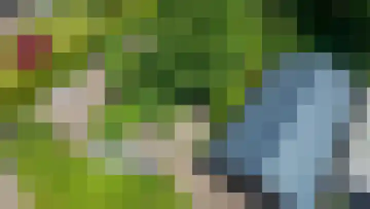 Bomenland 13 Venhuizen thumbnail 78